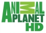 blog-isp:2012:08:animal-planet-hd.jpg